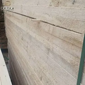 ������� 35ľ��3��ľ�� 48ľ��