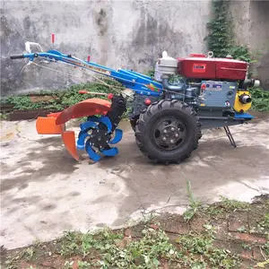 ũ�ø���� 15�����ַ������� ��԰���Գ��ݻ�