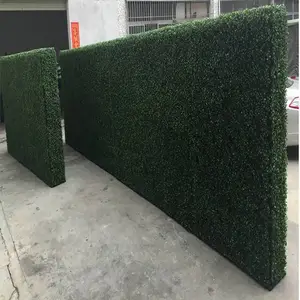 ��ǽ��ֲװ�η���ֲ��ǽ��ɹ��ȼ��������������