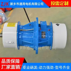 破碎机振动电机-侧板振动电机-通用电机
