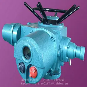 ģ�������ƽ��շ���4��20mA��׼�ź�DZW60-24T���ڵ綯װ��