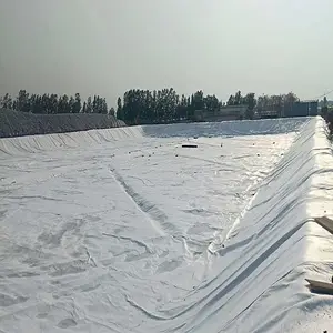 ���Ϸ���Ĥ500��һ��һĤ����Ĥ��������