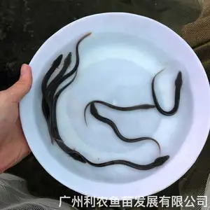 �ձ������������� ��������Դͷ���� ������Ʒ�� 8-25����