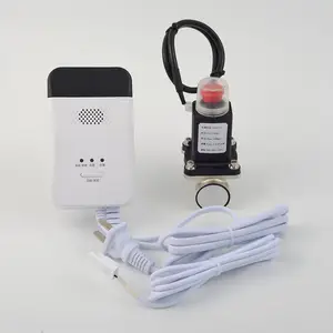 ��ʢ����������ʽ��ȼ����̽���� ȼ���������Զ��жϷ���װ