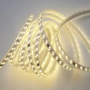 三雄极光PAK544552光河系列高压LED灯带8瓦 220V