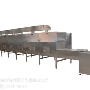 微波隧道式干果烘焙杀菌设备