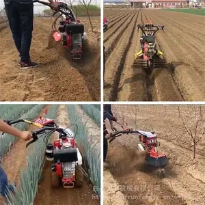 ��԰С�Ϳ����� ��԰������԰������ ���