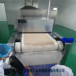 香辛料微波杀菌设备,香料、粉体食品的干燥杀菌机