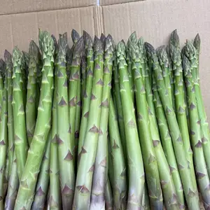 �κ���6��«�������ӽ�һ������«��������������