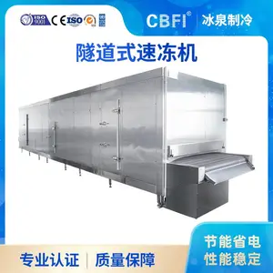 冰泉制冷大型商用雷笋竹笋蔬菜速冻机设备食品隧道式速冻机