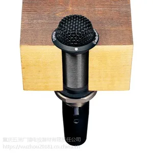 ��Ӧaudio-technica������AT846/C����ָ����滰Ͳ