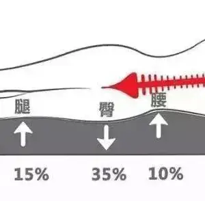 床垫厂家-郑州床垫厂家-金柄源实业(优质商家)