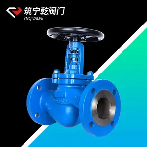 ����Ǭ ���ƹܽ�ֹ�� WJ41H-16C ̼�ַ�����ֹ��dn65 ����