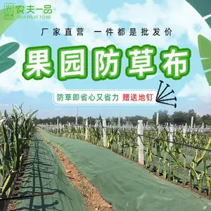农用果园防草布厂家 大棚防草除草膜 透气农膜保湿抑草地布可定制