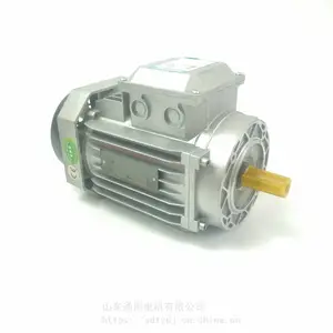 ����3KW��ʽB14 YE3-100L2-4B14�������������첽�綯��