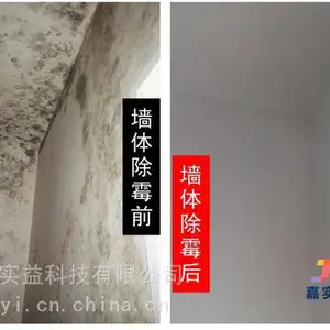 佛山除霉公司 墙面除霉家居工厂办公室除霉 白墙10分钟恢复白色