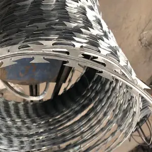 ��п��Ƭ���� Χǽ������˿���������� ������֧�� ��������