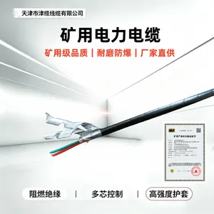 MVV 5*16煤矿用电力电缆MVV22 井下电源线钢带铠装 鑫津缆