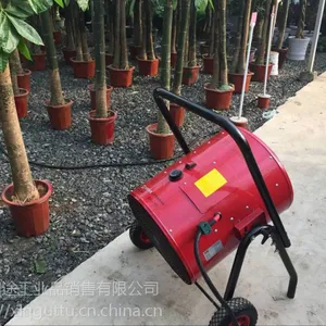 ����������ҵ�ȷ��ů��������������� ���Ҵ��ﻨ���߲˷�������