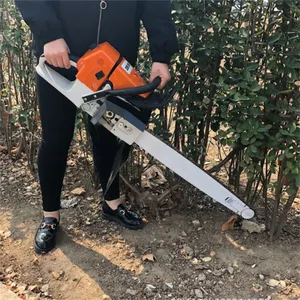 ���ʽ������ �๦�ܶϸ��� ������ľ�ھ��
