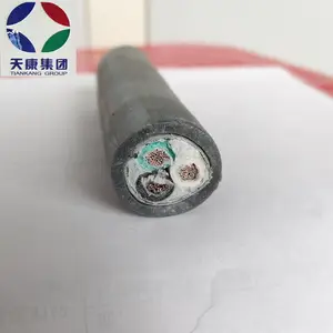 AGR���𽺾�Ե��װ����