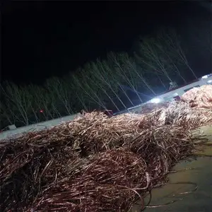 �������˵��»��գ����շϵ��¼۸��Ե���»���������»��գ�