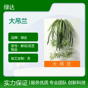 商场内饰观赏场景花艺制品大吊兰/小吊兰壁挂配饰草花背景花艺墙