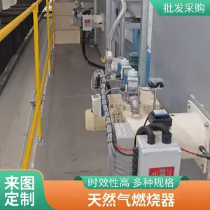 岱鼎 钢铁加热炉 退火炉 天然气燃烧器 燃气喷嘴 源头厂家