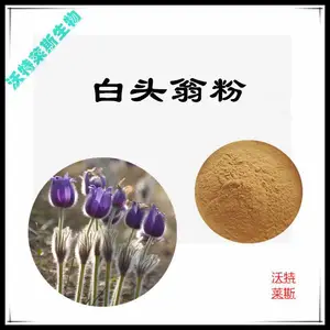 ��ͷ����ȡ�� 10:1 ˮ�� ȫˮ�ܷ� ������˹����