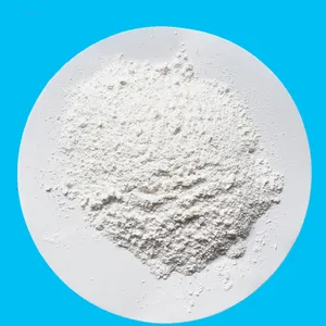 ʳƷ���������� ����� �кͼ� �̻��� ���׶�
