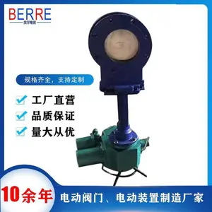 ���ձ���PZ973X-10C DN250***�Ľ��綯����բ��
