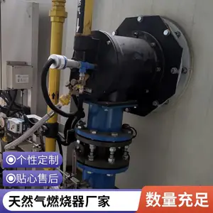 工业窑炉烧嘴燃气天然气燃烧器燃烧系统天然气燃烧器源头厂家岱鼎