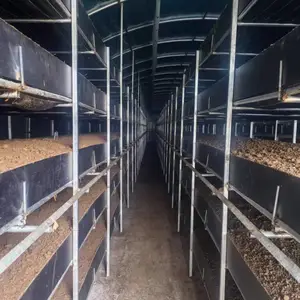 食用菌大棚挡板 新型中空塑料挡板防水防腐寿命长
