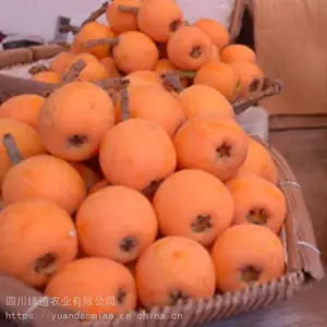 ɳƺ�Ӵ����������� 1����������������һ���Ǯ