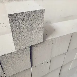 ����������B05������������