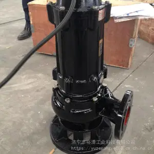 污水泵 小型家用潜水泵化粪池抽水泵380V 潜水排污泵 11kw提升泵