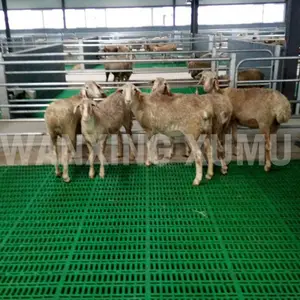 羊粪漏板价格 羊圈漏粪板 羊场地板 羊粪漏板哪里有 塑料羊粪漏板