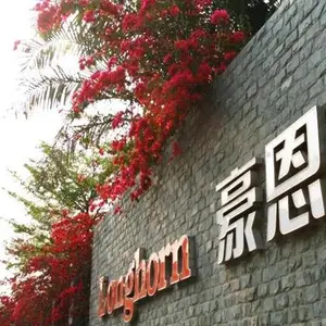 深圳市豪恩智能物联股份有限公司