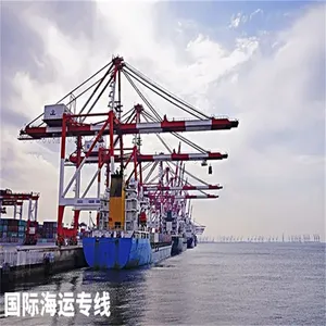 泽程国际货运打包拍照验货仓储海运拼箱 武汉到新加坡DDP个人集运