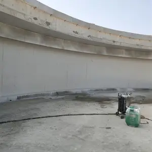 �����ط��� ��ϩ����֬������ƬͿ��