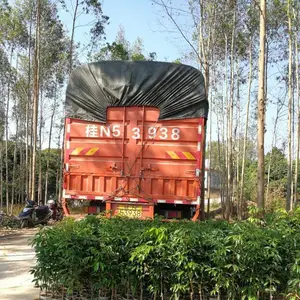 ����Ц��֦�޽ӱ��罡׳�޲���ͼƬ��ֲ��������