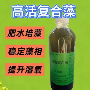 高活复合藻浓缩型小球藻藻种阔培海淡水产养殖水库虾蟹鱼塘蛋白核小球藻种源