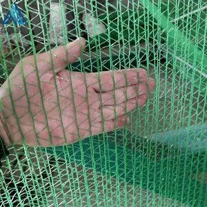 ɳ���Ѹ���������/��˿������