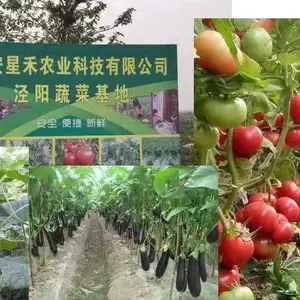 西安经开区蔬菜配送公司
