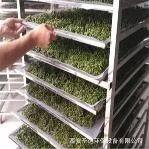 空气能花椒烘干设备 空气能花椒烘干机