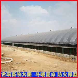 搭建养猪大棚价格 养猪棚建设厂家 宁津县世瑞畜牧设备