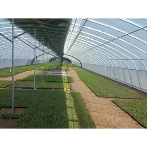 �������´������ �Ǽ��ȶ� ���ն�ůʽ�������ҳ��� ³��