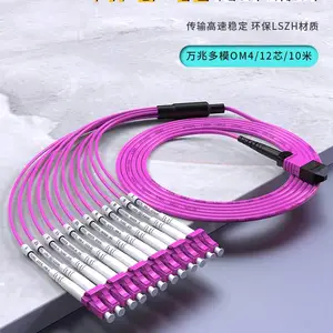 MPO-LC 24оOM4��ģ����100G��������MTP���˽�����OM3