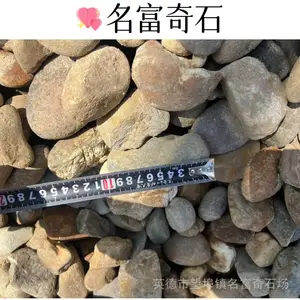 广东广州污水处理鹅卵石滤料 广州大量鹅卵石厂家 广州阳台铺鹅卵石