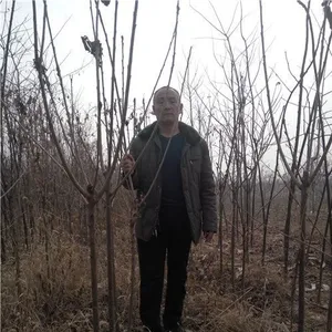 绛县古绛镇绿舟苗木经销部